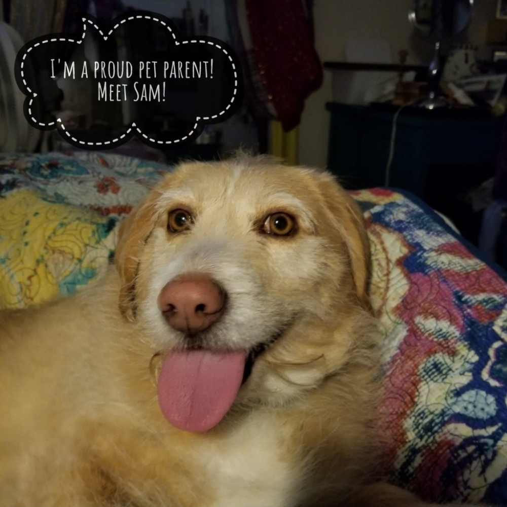 Proud Pet Parent